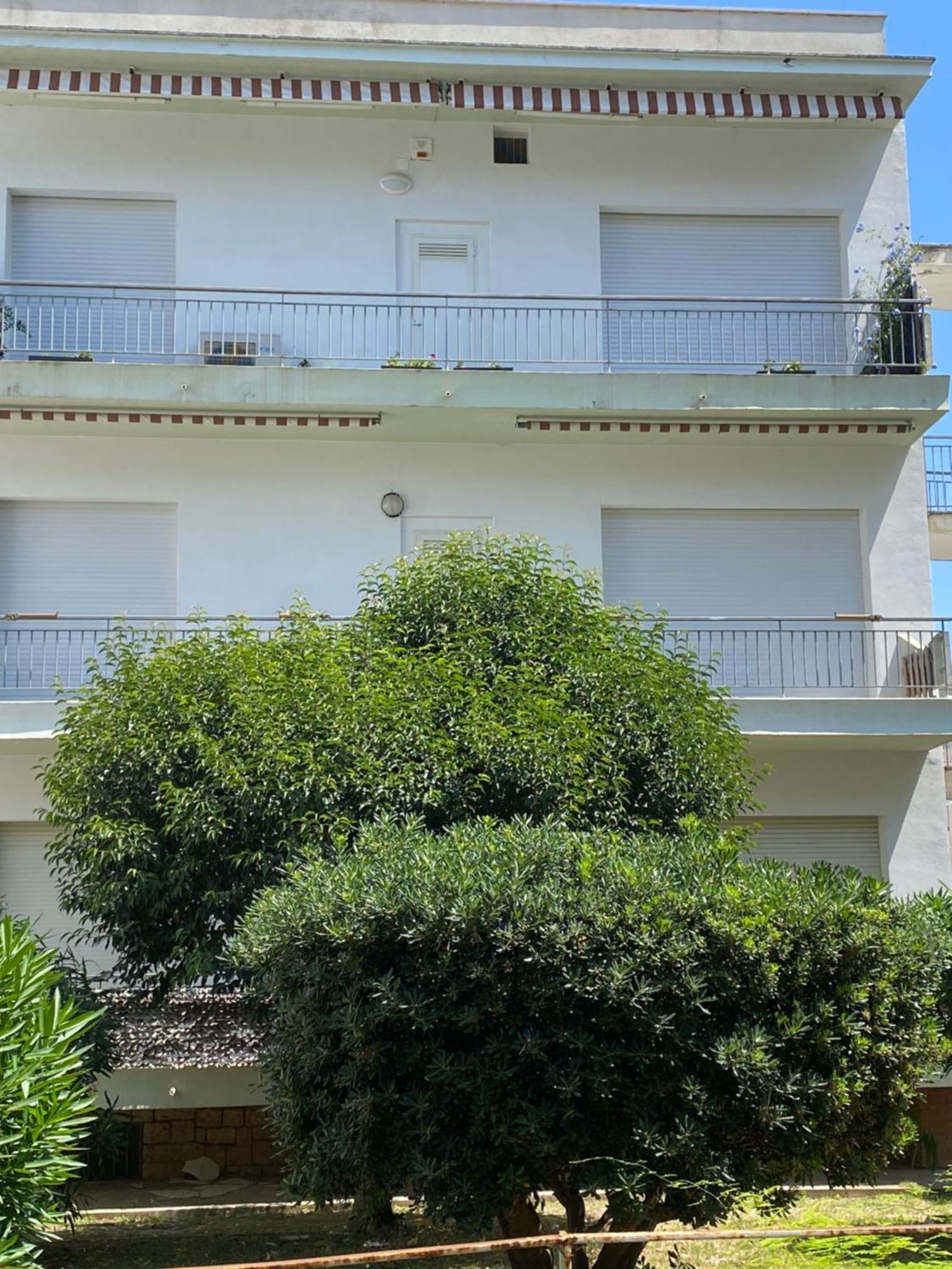 דירות טרצ'ינה Viale39 מראה חיצוני תמונה